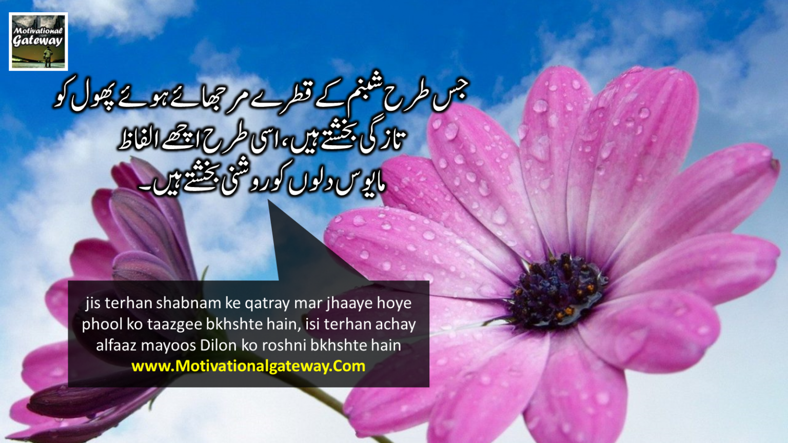 life-changing-quotes-in-urdu-motivational-gateway