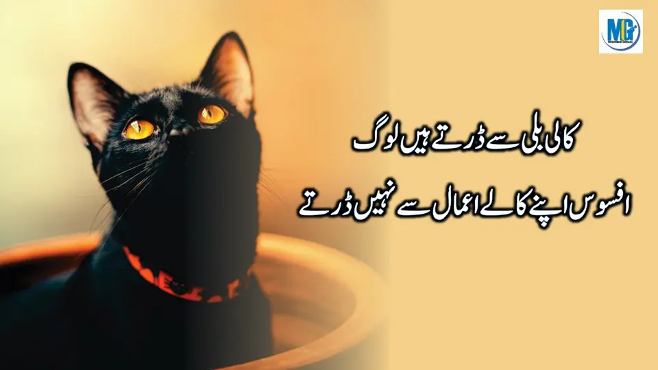 Urdu Quotes 