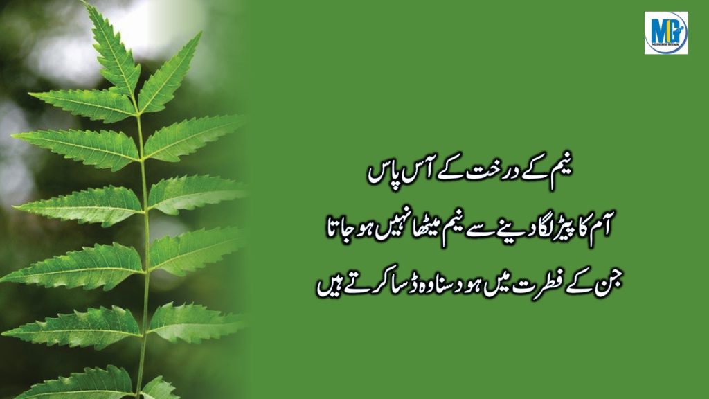 Urdu Quotes 