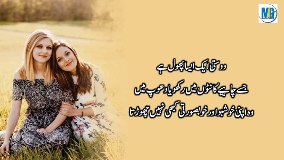 Heart Touching Quotes About Friendship 