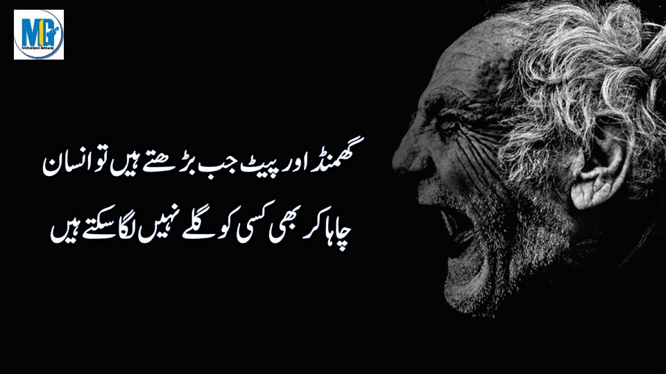 Urdu Quotes 